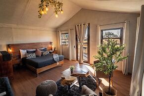 Glamping Reino Animal