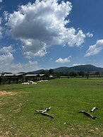 Glamping Reino Animal