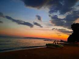 Pansion Simic