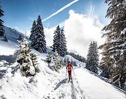 Gelinote Chalet for 4 People