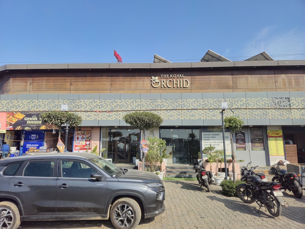 The Royal Orchid