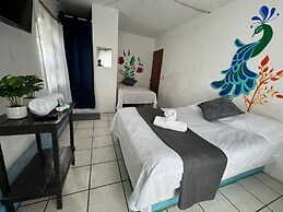 Hotel El Mexicano Tepic Centro