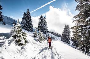 Apartment With Parking in Chatel
