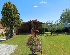 Farmhouse in Tuscany With Olive Grove Views
