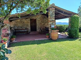 Farmhouse in Tuscany With Olive Grove Views