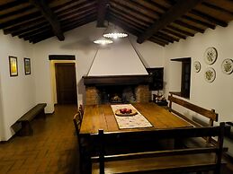Farmhouse in Tuscany With Olive Grove Views