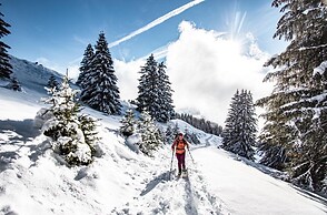 Gelinotte Gl10 Telecabine & Mountain 4 Pers
