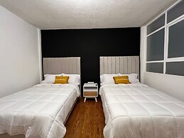 Spacious Apts in Chic Polanco