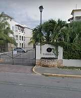 departamento torrent