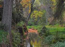 Haven With Private Garden