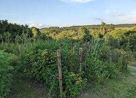 Haven With Private Garden