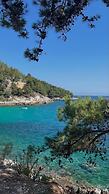 Begonya Hotel Kemer - All Inclusive