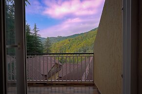 Nature Villa Resort