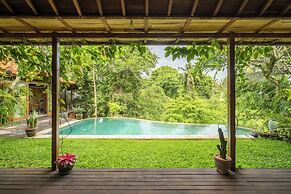 Private Pool Villa in ubud with Jungle View