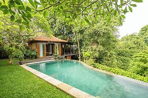 Private Pool Villa in ubud with Jungle View
