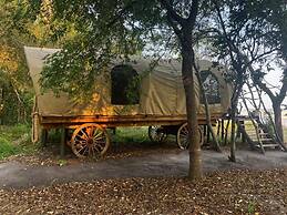 Rufiji Explorers