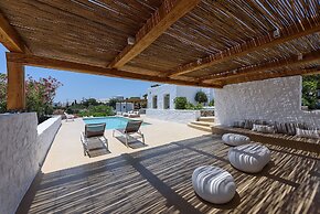 Villa Vinea Paros