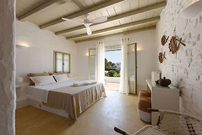 Villa Vinea Paros