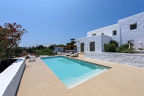 Villa Vinea Paros