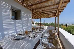 Villa Vinea Paros