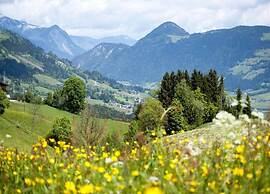Superior Chalet mit 4 Schlafzimmern & Wellness