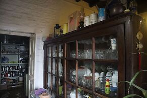 The Bicknell's Nest