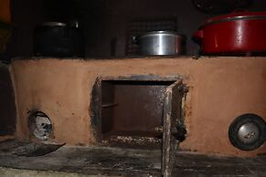 The Bicknell's Nest