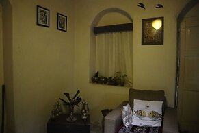 The Bicknell's Nest