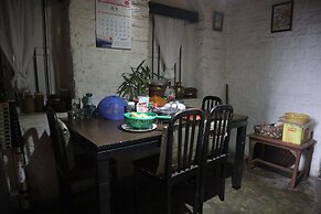 The Bicknell's Nest