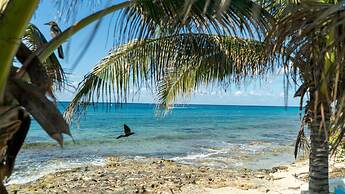 Cozumel Apartments