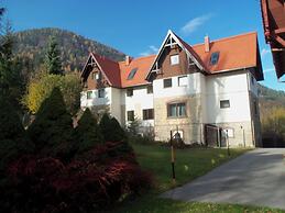 Villa Wellspacher - Renovated 19th Century Villa