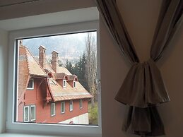Villa Wellspacher - Renovated 19th Century Villa