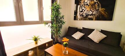 Oshun Plaza Castilla