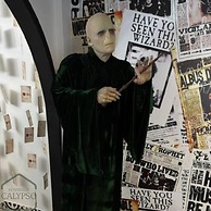 Espectacular Apartaestudio Harry Potter