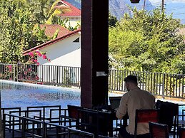 Jungle Backpackers View