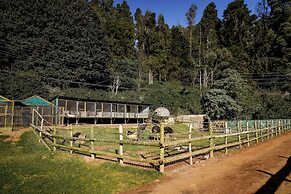 Virgin Valley