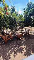 OliveTreeHostel