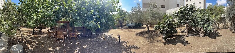 OliveTreeHostel
