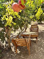 OliveTreeHostel
