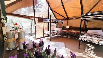 Luxurious Bush Tent!