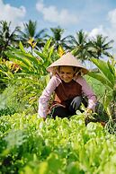 Thala Tra Vinh