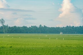 Thala Tra Vinh