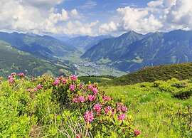 Mountain-view Chalet in Wagrain