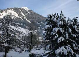 Mountain-view Chalet in Wagrain