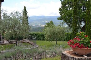 Farmhouse in Tuscany With Pool and Valley Views