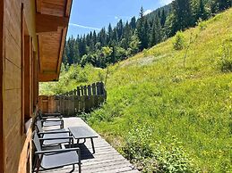 Chalet in Wagrain on Ski Slopes