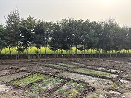 Neem Sarai Sariska