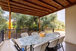 Villa Morpho in Peyia