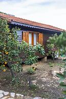 Tatil Evi Dilek Çıralı
