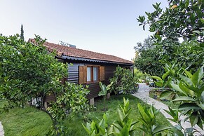 Tatil Evi Dilek Çıralı